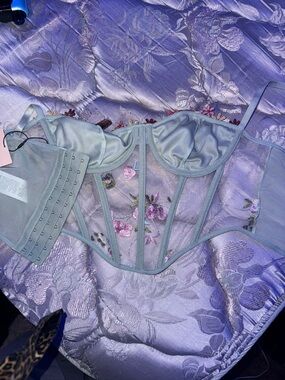 Sheer Embroidered Bustier Bra - Pale Mint
